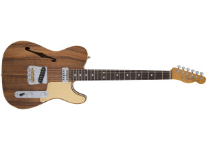 Fender Artisan Tele Caballo Tono Ligero Koa