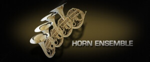 VSL (Vienna Symphonic Library) Horn Ensemble