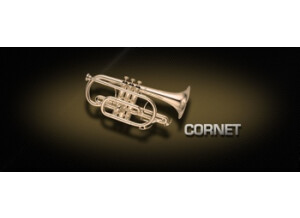 VSL (Vienna Symphonic Library) Cornet