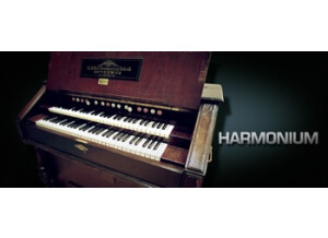 VSL (Vienna Symphonic Library) Harmonium