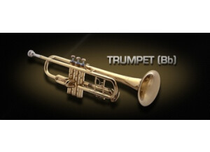 VSL (Vienna Symphonic Library) Trumpet (Bb)