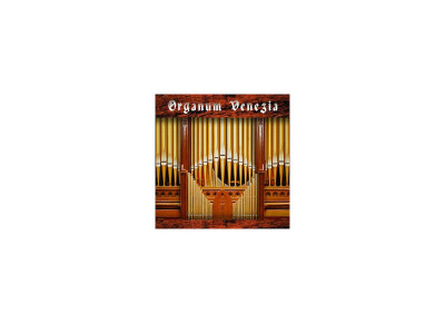 Best Service Organum Venezia