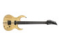 Esoterik se lance dans les guitares barytons