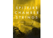 Spitfire Audio Spitfire Chamber Strings