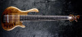 Une basse 6 cordes luxueuse chez LedBelli