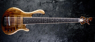 Une basse 6 cordes luxueuse chez LedBelli