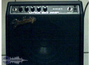 Jim Harley Little Big Amp Bass 20W