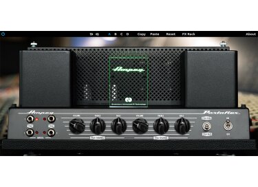 Universal Audio Ampeg B-15N