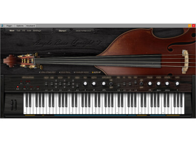 Ample Sound Ample Bass Upright II