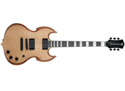 Wylde Audio Barbarian