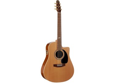 Seagull Artist Mosaic CW Quantum II