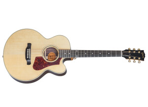 Gibson HP 665 SB