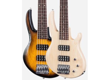 Gibson EB Bass 5 T (2017)