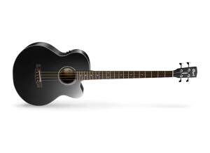 Cort AB850F