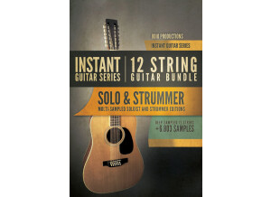 8dio Instant 12-String Guitar Bundle