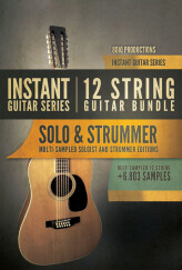 Les banques de sons Instant Guitar Series en promo chez 8Dio