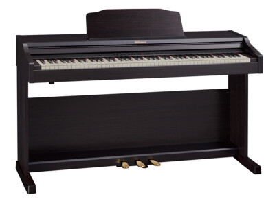 Roland RP501R