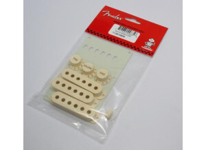 Fender Original Stratocaster Accessory Kit Aged White*