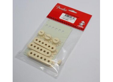 Fender Original Stratocaster Accessory Kit Aged White*