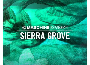 Native Instruments Sierra Grove