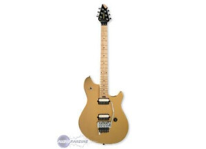 Peavey EVH Wolfgang Special TR