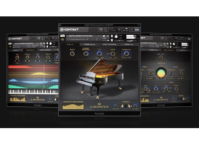C. Bechstein Digital Digital Grand