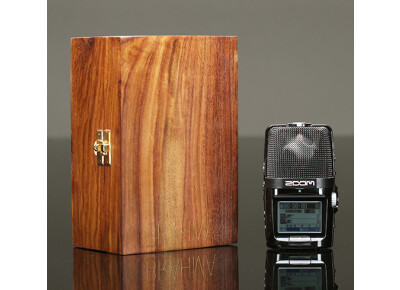 Brahma Microphones Brahma in Zoom