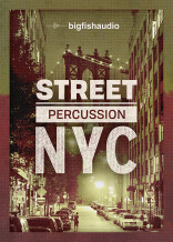 Big Fish Audio Street Percussion: NYC