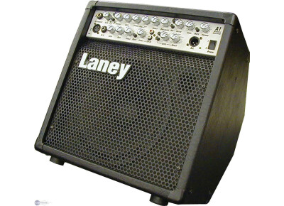 Laney A1