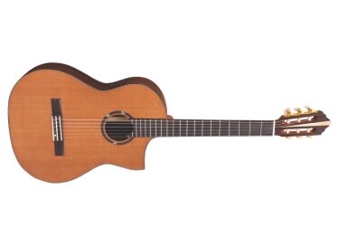 Vintage Roger Williams Signature Electro-Acoustic Crossover