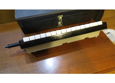 Hohner Melodica Cassotto 26