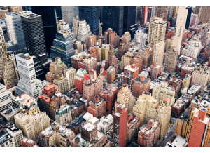 Shapingwaves New York