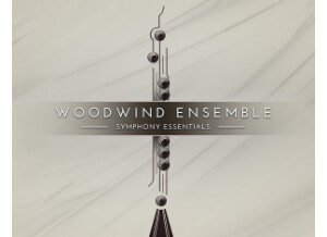 Native Instruments Essentials - Woodwind Ensemble