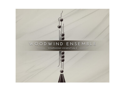 Native Instruments Essentials - Woodwind Ensemble