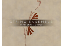 Native Instruments Essentials - String Ensemble
