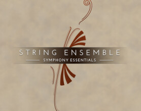 Native Instruments Essentials - String Ensemble
