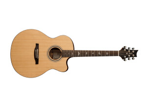 PRS SE A20E (2016)