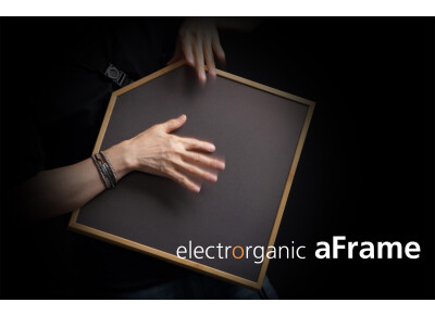 ATV ElectrOrganic aFrame