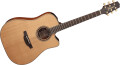 Takamine : le retour discret de l'EAN10C