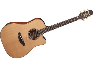 Takamine TAN10C-R