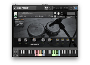 Loops de la Crème Easy Bongos