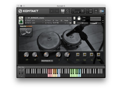 Loops de la Crème Easy Bongos