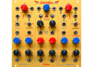 Endorphin Terminal
