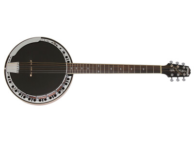 Epiphone Stagebird 6-String Electric Banjo