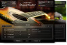 Native Instruments Strummed Acoustic 2