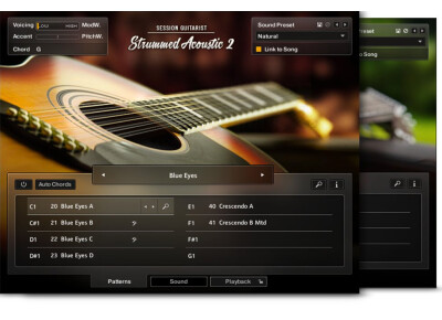 Native Instruments Strummed Acoustic 2