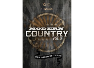 Big Fish Audio Modern Country vol 2