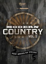 Big Fish Audio Modern Country vol 2