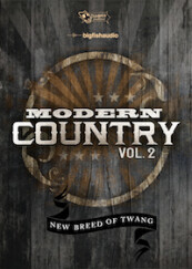 Big Fish Audio Modern Country Vol. 2