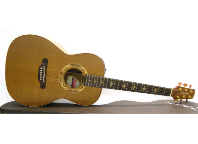 Takamine PSF-95